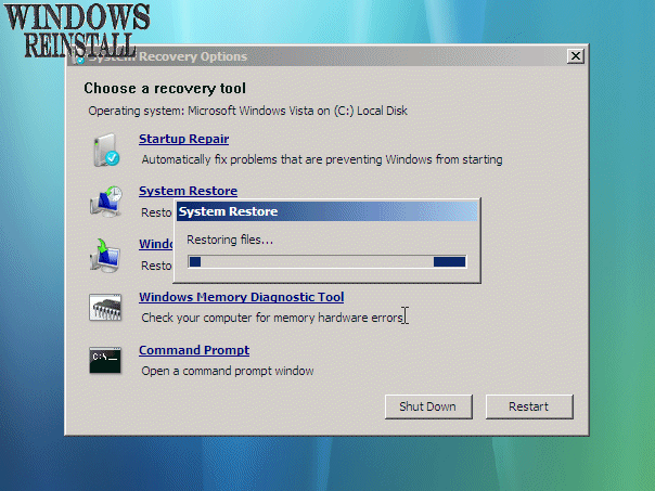 Ms Vista Recovery Disk